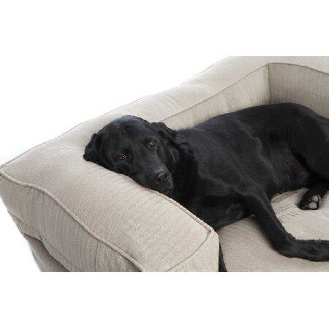 Lex & Max Καναπές κρεβάτι σκύλου υψηλής ποιότητας boutique με αφαιρούμενο κάλυμμα 100x70x35 μπεζ