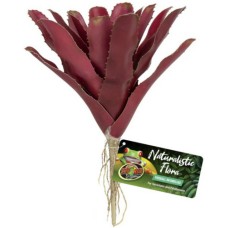 Zoo Med Διακοσμητικό φυτό Fireball Bromeliad Zoo Med Διακοσμητικό φυτό Fireball Bromeliad