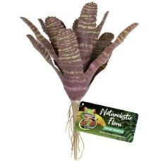 Zoo Med διακοσμητικό φυτό Chestnut Bromeliad Zoo Med διακοσμητικό φυτό Chestnut Bromeliad