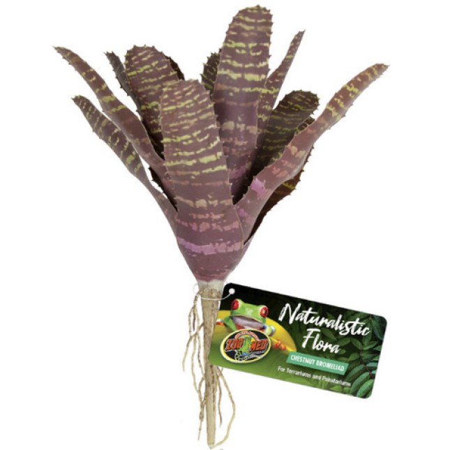 Zoo Med διακοσμητικό φυτό Chestnut Bromeliad Zoo Med διακοσμητικό φυτό Chestnut Bromeliad