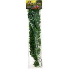 Zoo Med Κισσός Κονγκό Small 36 cm