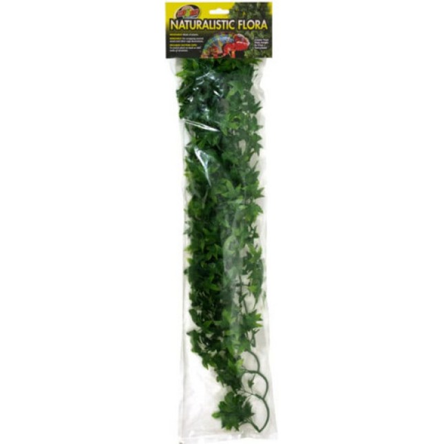 Zoo Med Κισσός Κονγκό Small 36 cm