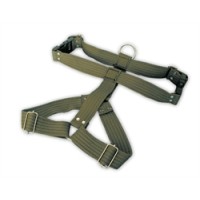 ΕΠΙΣΤΗΘΙΟ ΡΑΙΓΙΟΝ MEDIUM 20-35  KG