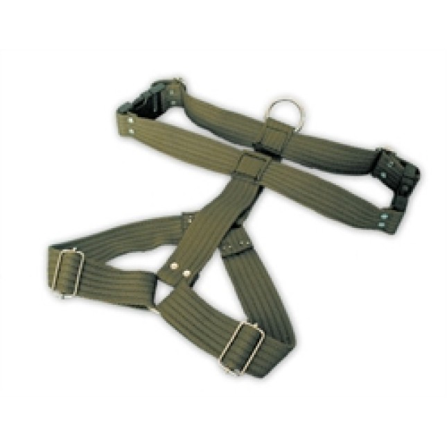 ΕΠΙΣΤΗΘΙΟ ΡΑΙΓΙΟΝ MEDIUM 20-35  KG