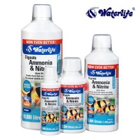 Digest amonia and nitrite bacterlife 100ml