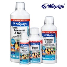 Digest amonia and nitrite bacterlife 100ml