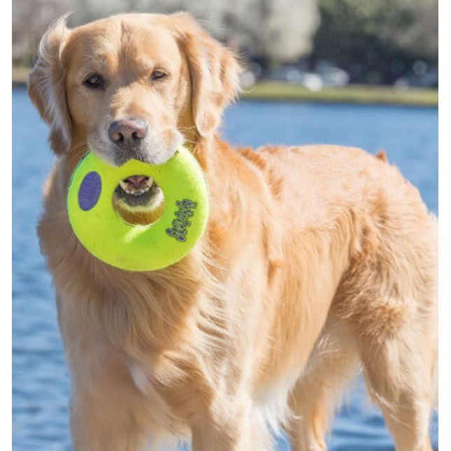 Kong παιχνίδι air squeaker donut md Kong παιχνίδι air squeaker donut md