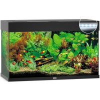 Juwel Rio 125 LED ενυδρείο Μαύρο 81x36x50cm