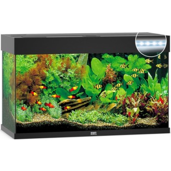 Juwel Rio 125 LED ενυδρείο Μαύρο 81x36x50cm Juwel Rio 125 LED ενυδρείο Μαύρο 81x36x50cm