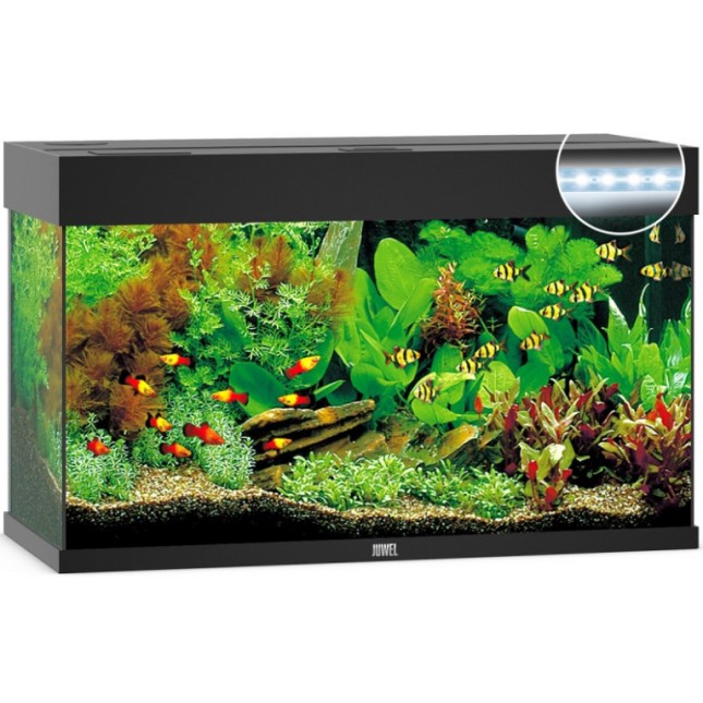 Juwel Rio 125 LED ενυδρείο Μαύρο 81x36x50cm