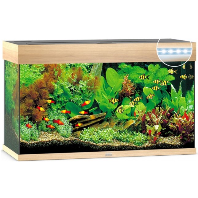 Juwel Rio 125 LED ενυδρείο οξιά 81x36x50cm