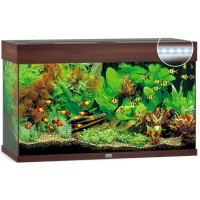 Juwel Rio 125 LED ενυδρείο Σκούρο καφέ 81x36x50cm
