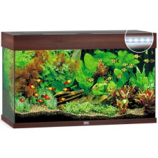 Juwel Rio 125 LED ενυδρείο Σκούρο καφέ 81x36x50cm Juwel Rio 125 LED ενυδρείο Σκούρο καφέ 81x36x50cm
