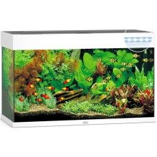 Juwel Rio 125 LED ενυδρείο Λευκό 81x36x50cm Juwel Rio 125 LED ενυδρείο Λευκό 81x36x50cm