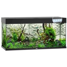 Juwel Rio 180 LED ενυδρείο Μαύρο 101x41x50cm Juwel Rio 180 LED ενυδρείο Μαύρο 101x41x50cm