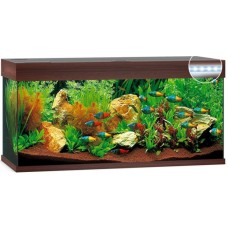 Juwel Rio 180 LED ενυδρείο Σκούρο καφέ 101x41x50cm Juwel Rio 180 LED ενυδρείο Σκούρο καφέ 101x41x50cm