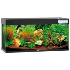 Juwel Rio 240 LED ενυδρείο Μαύρο 121x41x55cm Juwel Rio 240 LED ενυδρείο Μαύρο 121x41x55cm