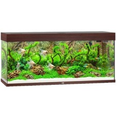 Juwel Rio 240 LED ενυδρείο Σκούρο καφέ 121x41x55cm Juwel Rio 240 LED ενυδρείο Σκούρο καφέ 121x41x55cm