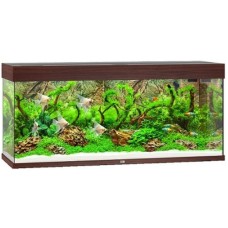 Juwel Rio 240 LED ενυδρείο Σκούρο καφέ 121x41x55cm