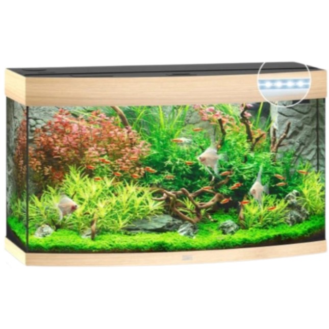 Juwel Vision 180 LED Aquarium οξιά 92x41x55cm Juwel Vision 180 LED Aquarium οξιά 92x41x55cm