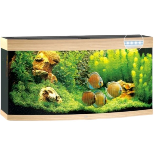 Juwel Vision 260 LED ενυδρείο οξιά 121x46x64cm Juwel Vision 260 LED ενυδρείο οξιά 121x46x64cm