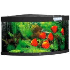 Juwel Trigon 350 LED ενυδρείο Μαύρο 123x87x65cm Juwel Trigon 350 LED ενυδρείο Μαύρο 123x87x65cm