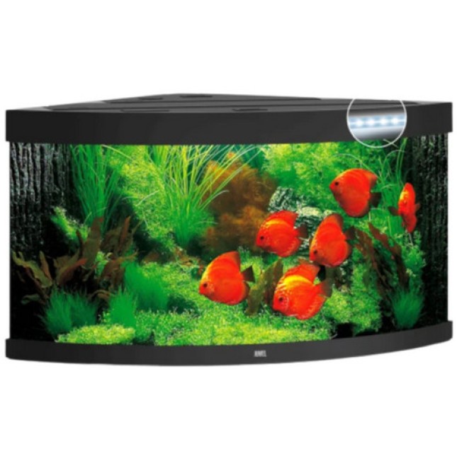Juwel Trigon 350 LED ενυδρείο Μαύρο 123x87x65cm Juwel Trigon 350 LED ενυδρείο Μαύρο 123x87x65cm