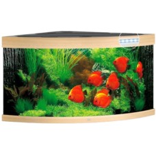 Juwel Trigon 350 LED ενυδρείο οξιά 123x87x65cm Juwel Trigon 350 LED ενυδρείο οξιά 123x87x65cm