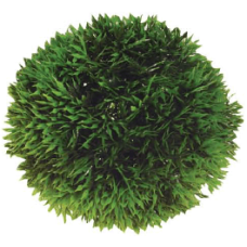 Hobby φυτό ball   9cm