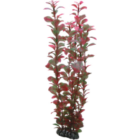Hobby Ludwigia 34cm