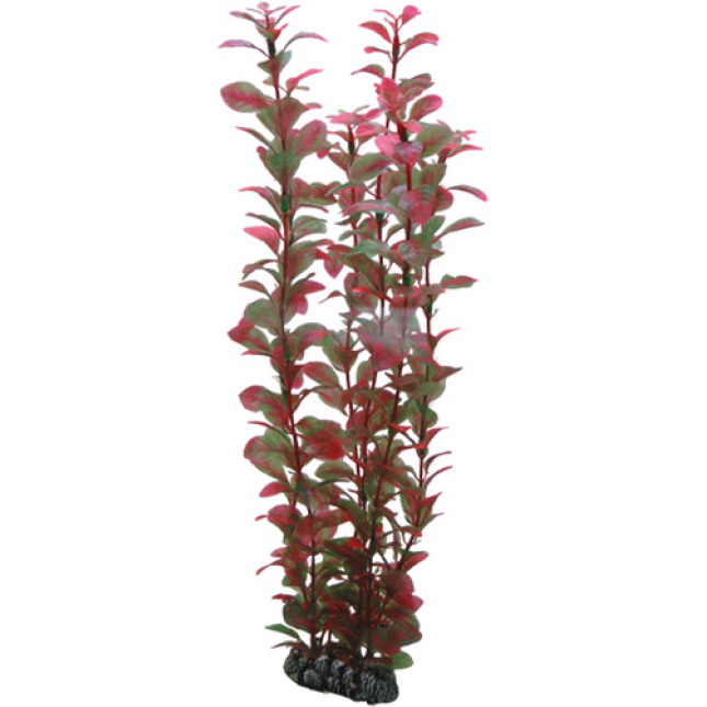 Hobby Ludwigia 34cm Hobby Ludwigia 34cm
