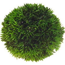 Hobby Plant Ball φυτό  13cm