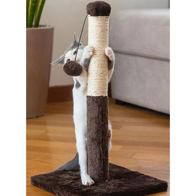 Ferplast ονυχοδρομίο για γάτες με παιχνίδι μπαλάκι για να παίξει και να γυμναστεί η γάτα σας