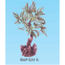 BOYU ΔΕΝΤΡΟ ΥΦΑΣΜΑΤΙΝΟ SMALL BAP 622S BOYU ΔΕΝΤΡΟ ΥΦΑΣΜΑΤΙΝΟ SMALL BAP 622S