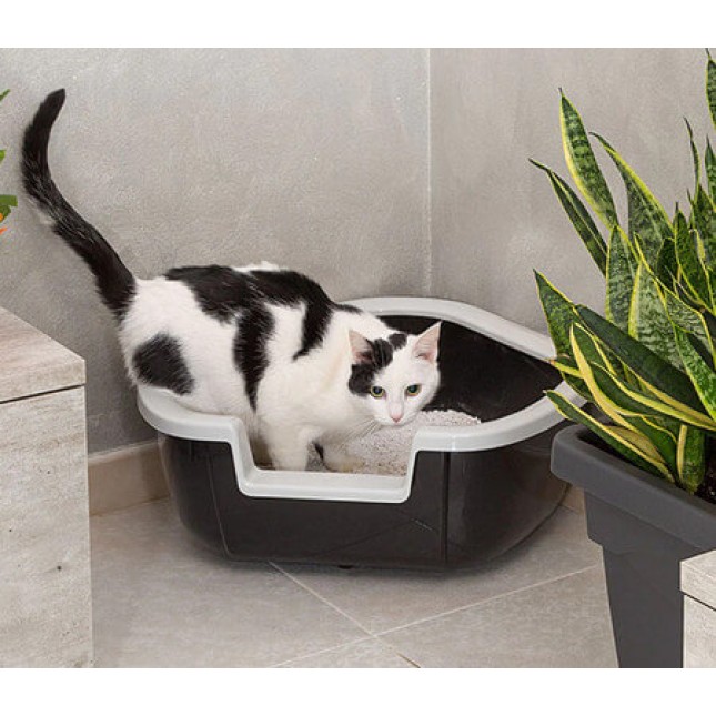 Ferplast ανοιχτή τουαλέτα γάτας  dama για να τοποθετείται ακόμη και στη γωνία ενός δωματίου