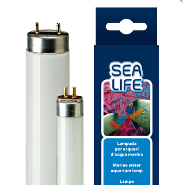 ferplast λάμπα νέον aquacoral 39 w lamp t5