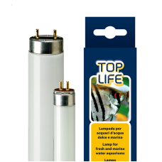 ferplast λάμπα νέον toplife 8w  t5