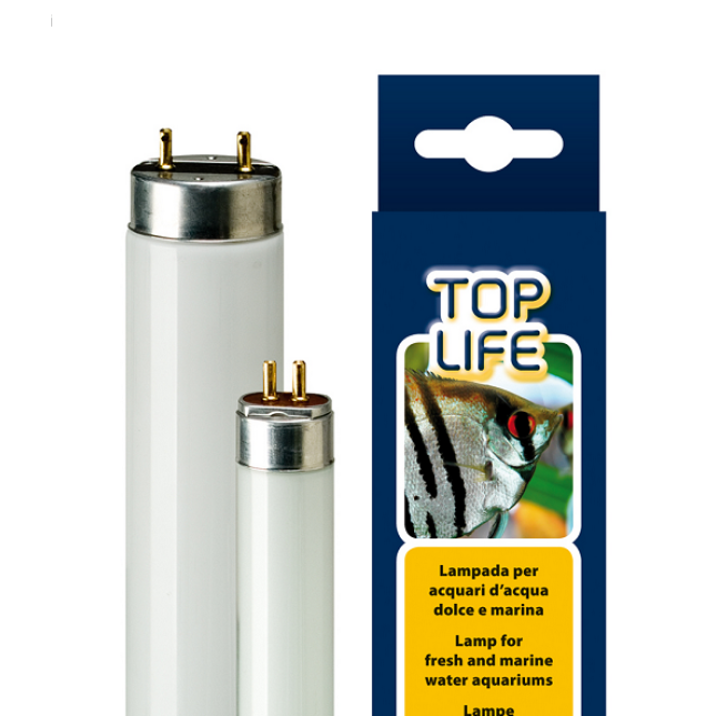 ferplast λάμπα νέον toplife 8w  t5