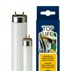 ferplast λάμπα νέον toplife 24w  t5