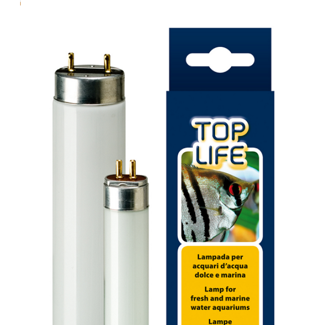 ferplast λάμπα νέον toplife 30w lamp t8