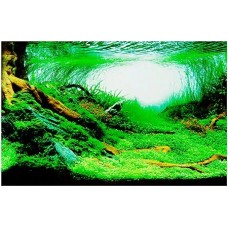 Ferplast αφίσα φόντο ενυδρείου blu 9046 80x40cm Ferplast αφίσα φόντο ενυδρείου blu 9046 80x40cm