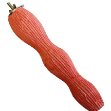 Happypet wave perch φυσική πατήθρα πουλιών 10''/25cm Happypet wave perch φυσική πατήθρα πουλιών 10''/25cm
