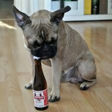 Snuffle dog beer μπύρα για σκύλο βοδινό χωρίς αλκοόλ