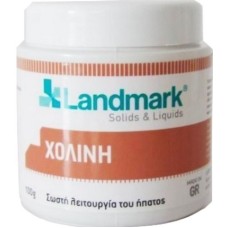 Landmark Χολίνη 100gr Landmark Χολίνη 100gr