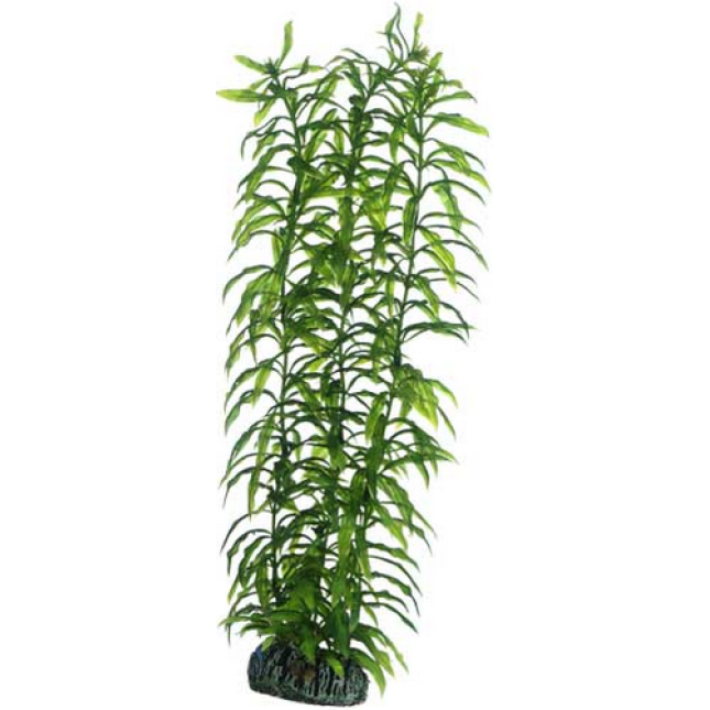 Hobby Τεχνητό φυτό ενυδρείου Heteranthera 34cm Hobby Τεχνητό φυτό ενυδρείου Heteranthera 34cm