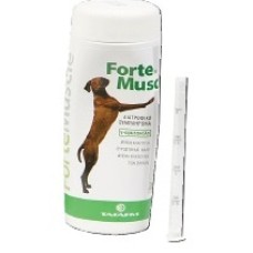 TAFARM FORTE MUSCLE DOG ΣΥΜΠΛΗΡΩΜΑ ΔΙΑΤΡΟΦΗΣ 200ΜL