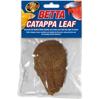 Zoo Med φυσικό φύλλο Catappa για ενυδρεία με ψάρια Betta Zoo Med φυσικό φύλλο Catappa για ενυδρεία με ψάρια Betta