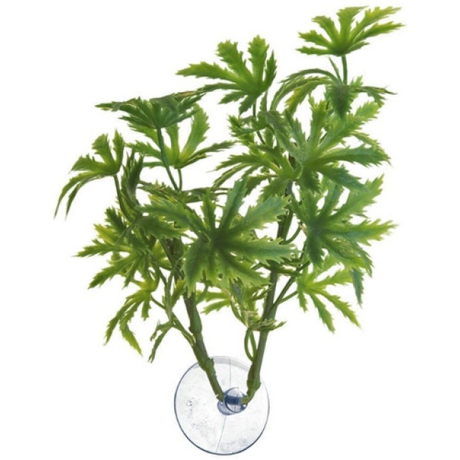 Zoo Med διακοσμητικό φυτό για γυάλα και ενυδρείο Betta Plant - Papaya Zoo Med διακοσμητικό φυτό για γυάλα και ενυδρείο Betta Plant - Papaya