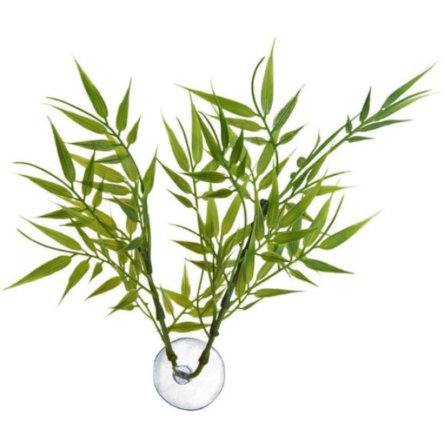 Zoo Med διακοσμητικό φυτό για γυάλα και ενυδρείο Betta Plant - Bamboo Zoo Med διακοσμητικό φυτό για γυάλα και ενυδρείο Betta Plant - Bamboo