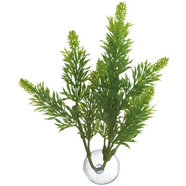 Zoo Med διακοσμητικό φυτό για γυάλα και ενυδρείο Betta Plant - Salvia Zoo Med διακοσμητικό φυτό για γυάλα και ενυδρείο Betta Plant - Salvia